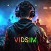 djvidsim