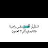 user8428005394395