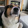 missysue73