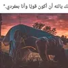 mohamedyehia171