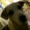 gonzalo_1248