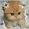 shi_yuriayato23