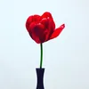 ambhernextfloor