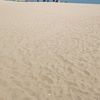 jimmy_784