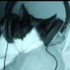 eftimchoto