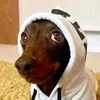 doggo726