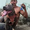 wallysontatuador