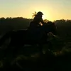 delta.petit.poney