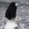 3z_rr1