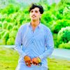 saqibjan0019