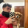 eudidellc