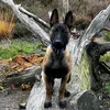 oliwiakaczmarek79