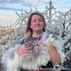 acadiapridemainecoon