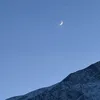 aab_447