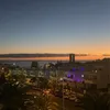 lilyxsaul_