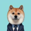 shibainnnnnnu