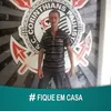 robinsonpedrasoli