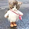 thatsadbishhehe