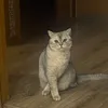 ovrzev