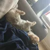 regan_467