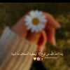 user730633532