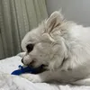 dyuorfvla8