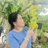 thanhvt631