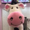kya272798287