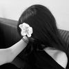 awash_alhaj009