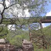 marcelo_20202
