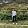 ndphong98
