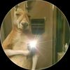 tbdog59