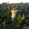 cipluksuharyadi