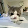 awsnnn