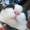sjklxkznsj