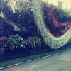 nolly4_you