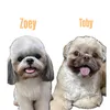 zoeytoby