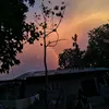 rayooo1