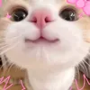 thuhuong58888
