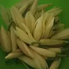 rangkabumi