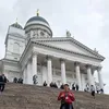 gnicola0