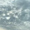 poppie_mu123