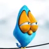 birdlady400
