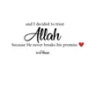 sham0381