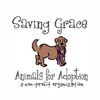 Saving Grace NC