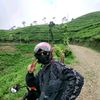 rans.96