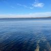 water_skier