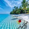 abohmad_m