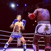 elhache17