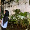 trlnaawdyaa